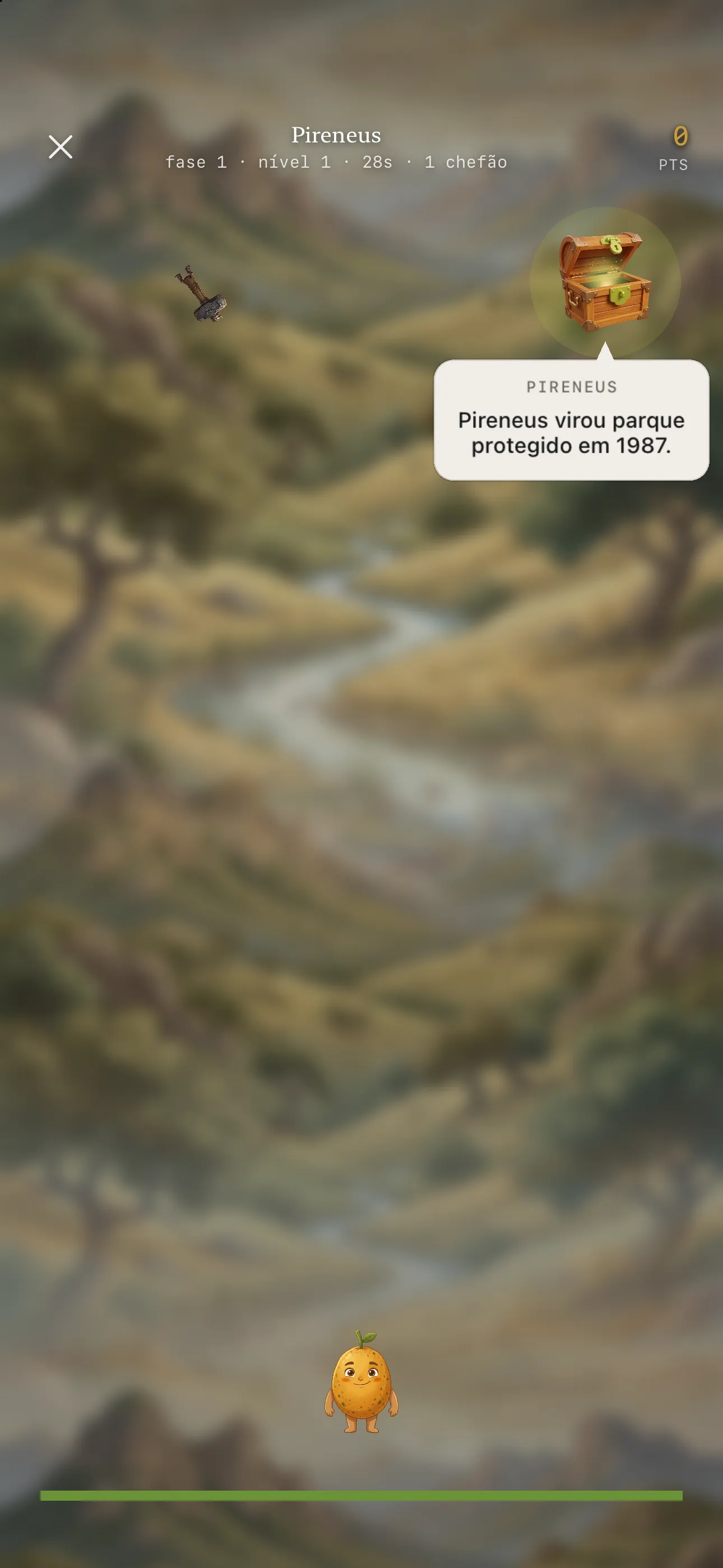 curiosidade no bau